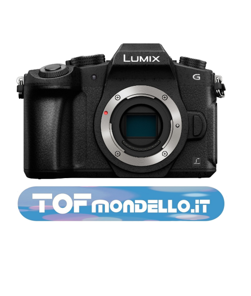 Panasonic G80