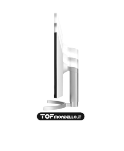 LG UltraWide Monitor
