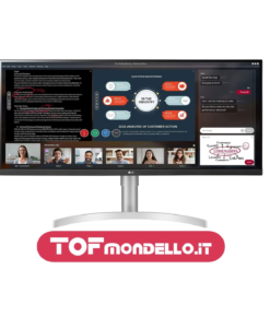 LG UltraWide Monitor