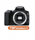 Canon 250D