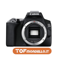 Canon 250D