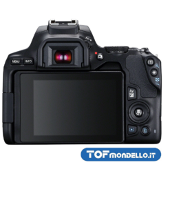 Canon 250D