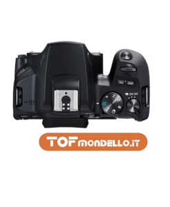 Canon 250D