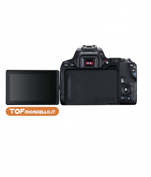 Canon 250D