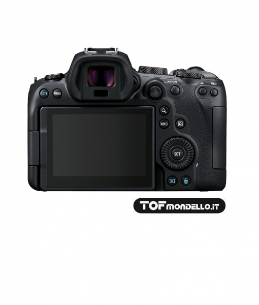 Canon R6