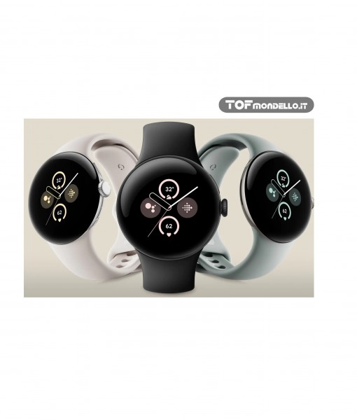 Google Pixel Watch 2 log2