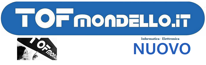 Logo - informatica N