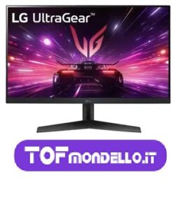 LG 24GS60F - LCD - FULL HD - USATO