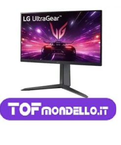 LG 24GS60F - LCD - FULL HD - USATO