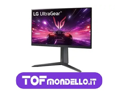 LG 24GS60F - LCD - FULL HD - USATO - immagine 2